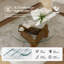 Modern Glass Coffee Table with Solid Wood Base Mid-Century Small Coffee Table for Living Room