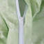 Standard - Set of 3-179229113-179229119