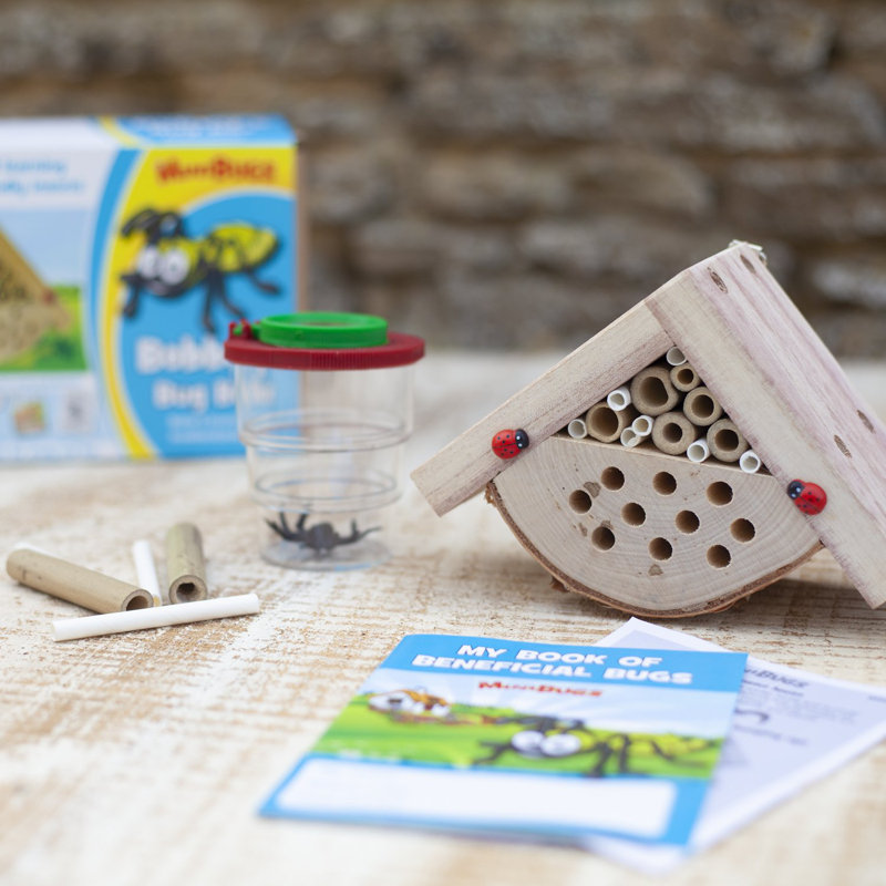 Minoa Mounted Ladybird House