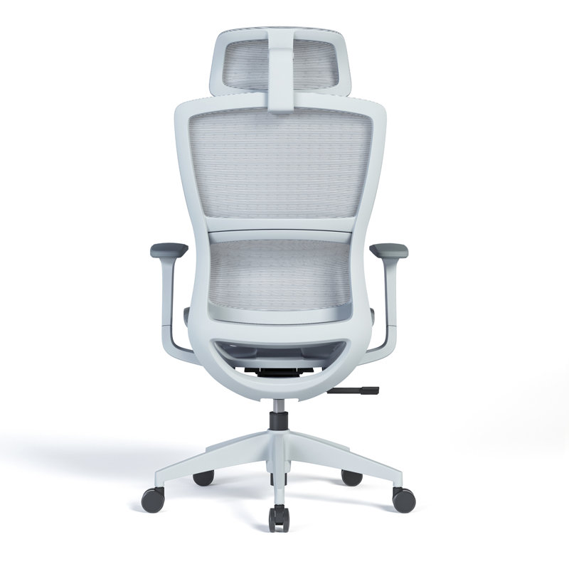 Chaise de bureau Reniesha, Gris, Gris