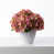 Rose est en rupture de stock