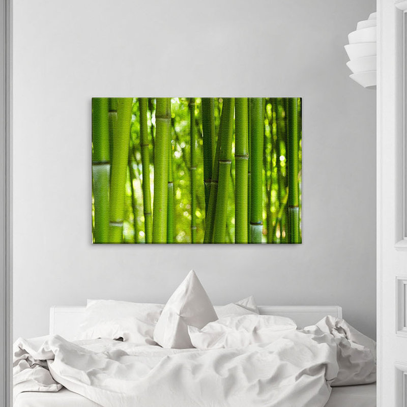 Bamboo - Wrapped Canvas Print, 70cm H x 100cm W x 4cm D