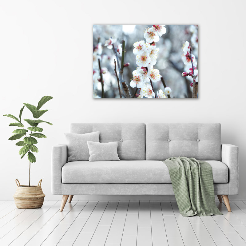 Cherry Blossoms - Unframed Art Prints on Glass