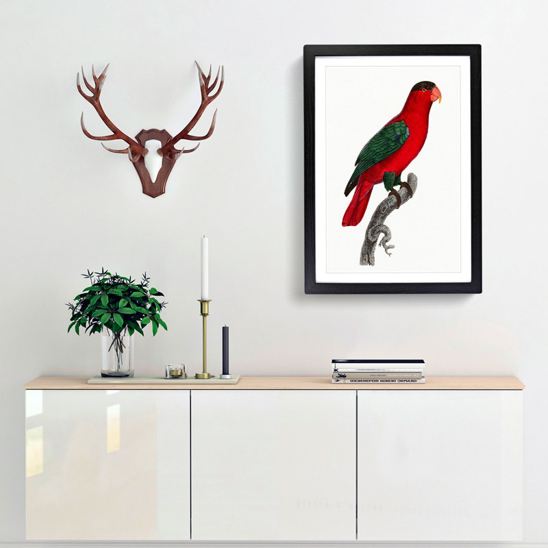 Naped Lory by F. Levaillant - Picture Frame Painting Print, 65cm H x 48cm W x 2cm D, Black Framed