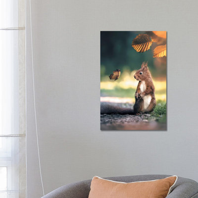 Squirrel Butterfly by Zenja Gammer - Print on Canvas