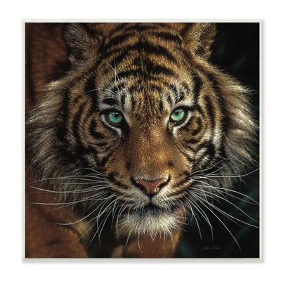 Portrait féroce d'un tigre sauvage accroupi aux yeux verts par Collin Bogle - impression