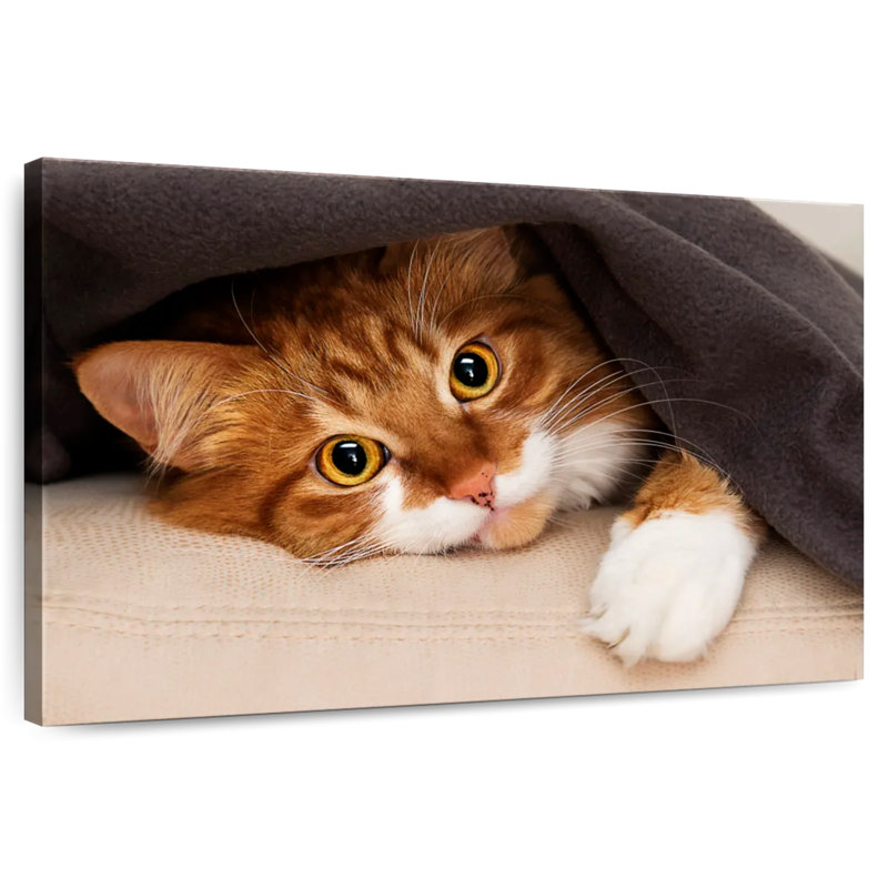 Crowle Cozy Cat, 32" H x 48" W