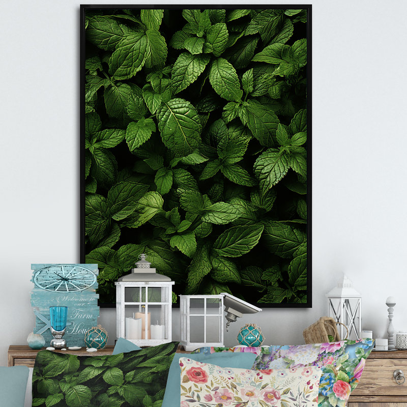 «Herbs Peppermint Breeze 2», art floral herbes murales, H 20 po x l 12 po x P 1 po, Cadre flottant noir