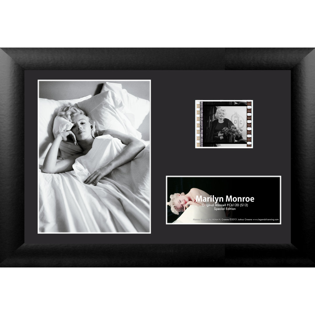 Marilyn Monroe MGC Mini FilmCell Presentation 3 Framed Memorabilia Trend Setters