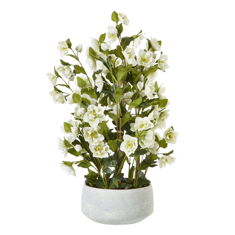 Large Hellebore in Taupe Pot, Grey, White