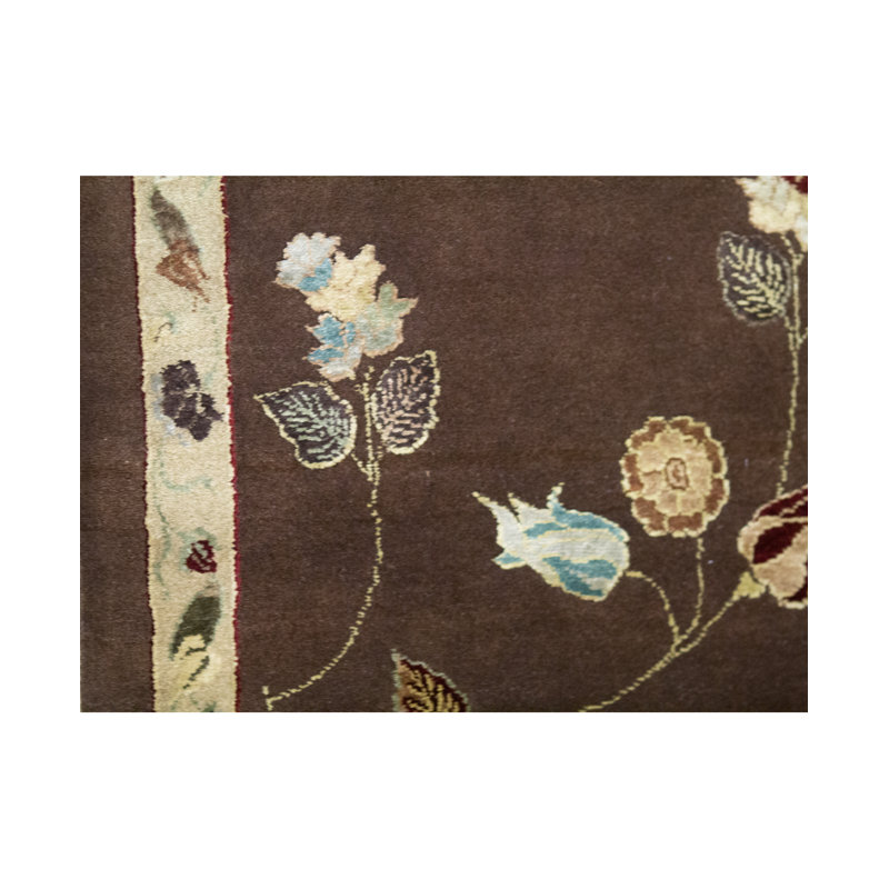 Dharma Oriental Area Rug in Brown