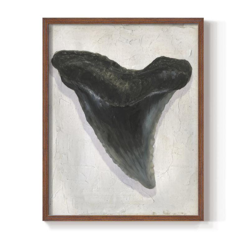 «Watercolor Sharks Tooth I», reproduction encadrée - bois massif, Cadre noyer, H 30 po x l 24 po
