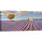 Lavender Fields by Adriano Galasso - Wrapped Canvas Print-574163668