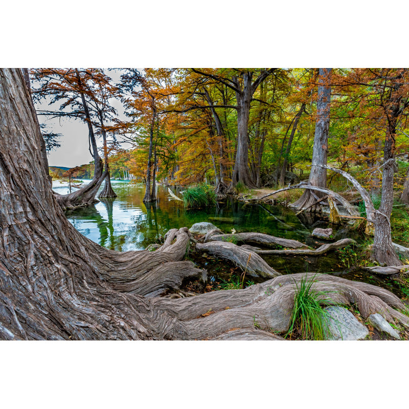 Ameswood " Garner State Park, Texas ", 8" H x 12" W  