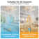 Eufelia 31" 7 - Blade Modern Indoor Dimmable LED Ceiling Fan with Light, Can Remote or APP