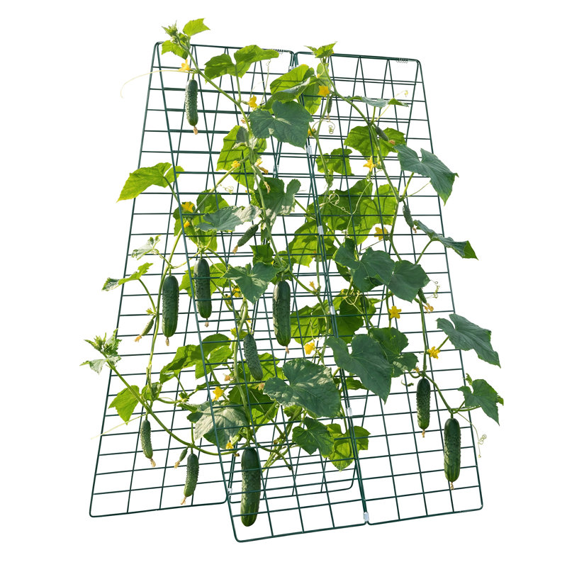 Ensemble de 4 treillis de concombre, treillis de jardin en A pour lit surélevé, support de plante en métal antirouille pour la vigne, plantes grimpantes, pois, haricots, courgettes, tomates, fleurs (46,06 x 16,93 po x 4 PCS)
