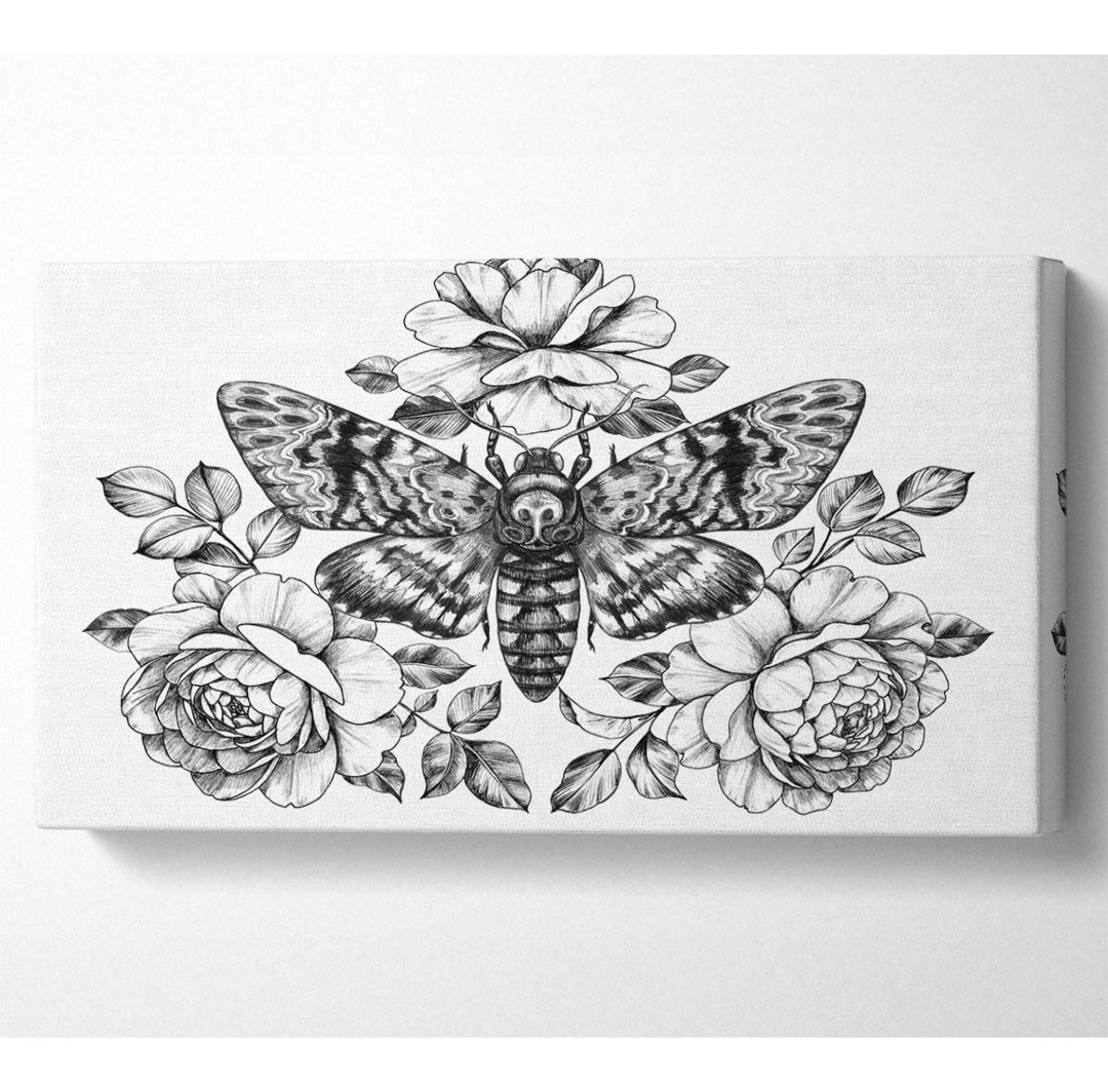 Death Head Moth - Kunstdrucke auf Leinwand - Wrapped Canvas