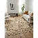 Mehndi Hand Braided Geometric Area Rug in Beige