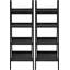 152.4cm H x 52.22cm W Ladder Bookcase-2046021296