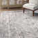Ameire Oriental Indoor Rug