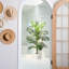6ft. Artificial Paradise Palm with White Decorative Planter