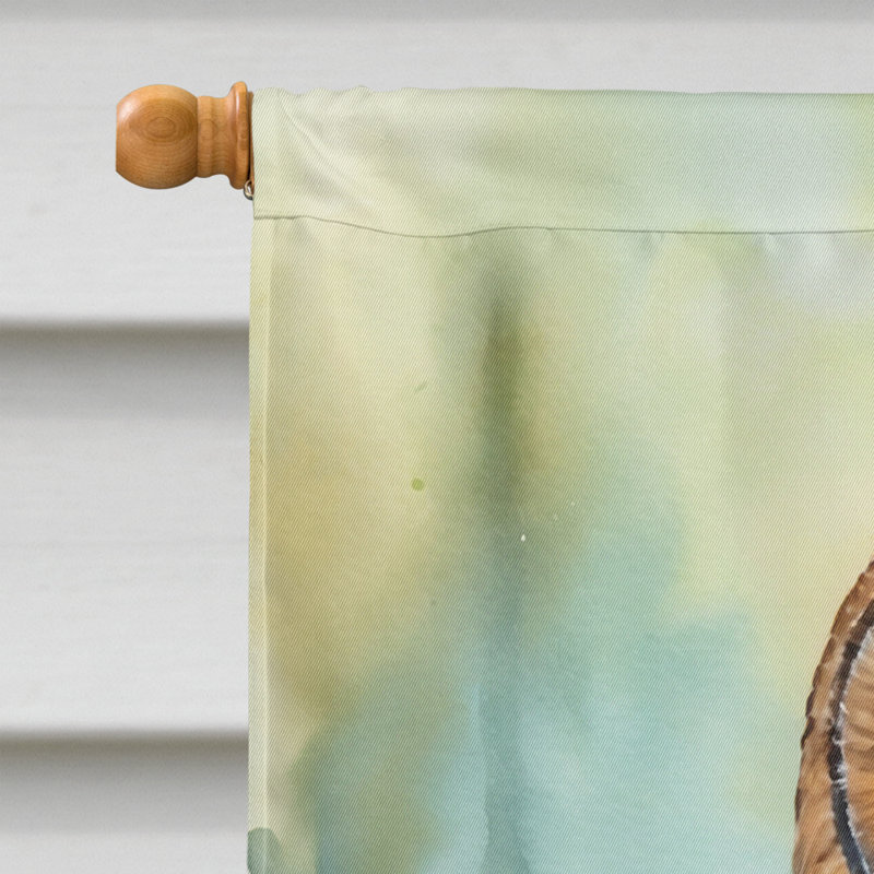 House Flag, Tawny Owl