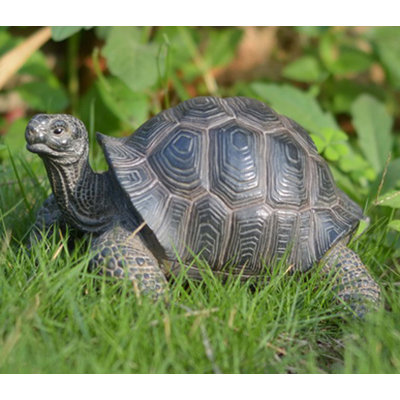 Tortoise Statue
