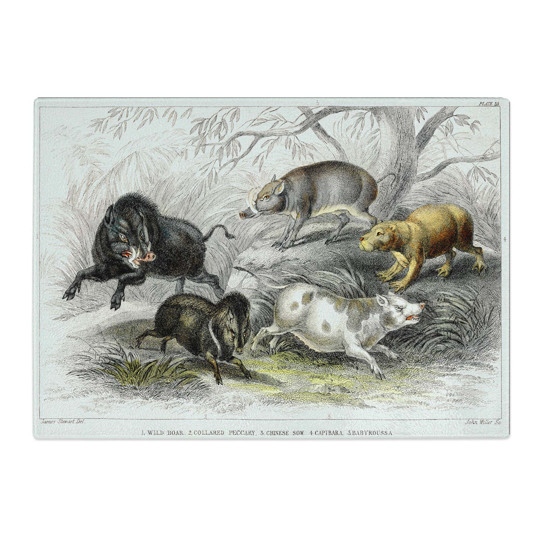 Tempered Glass Wild Pig Illustration by Oliver Goldsmith Chopping Board