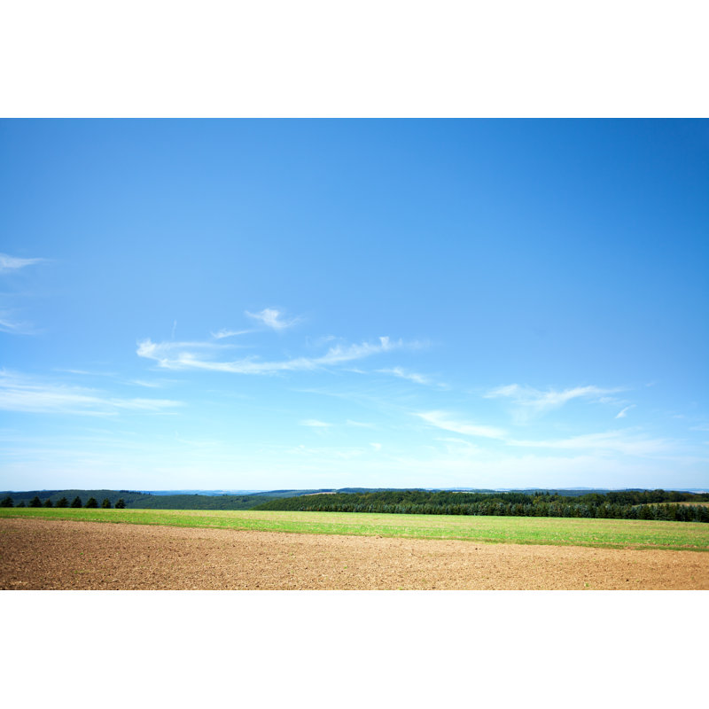 Summer Field by Justhavealook, 24" H x 36" W