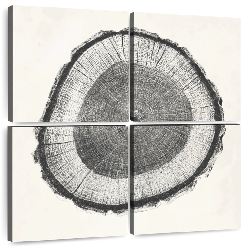 Avery Tree Ring II
