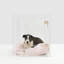 Medium Clear View Pet Crate with Silver Latch, Khaki Cushion-1880050985-1903138381-1903138384