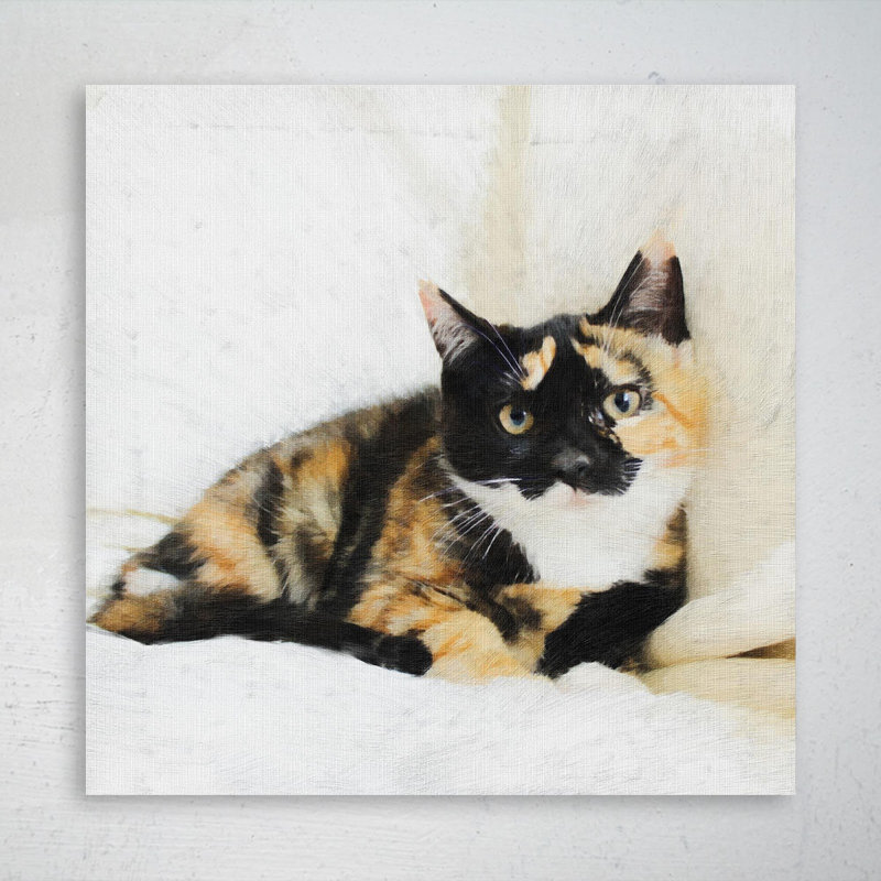 Calico Cat Allongé sur un tissu blanc - reproduction d'art graphique carré sur toile tendue 1 pièce, H 12 po x l 12 po