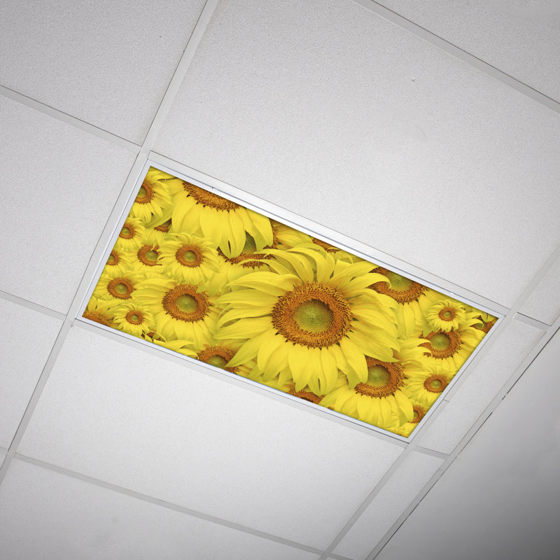 Flower Classroom Fluorescent Light Covers for Ceiling Lights - For 2x4 Fixture - by Octo Lights