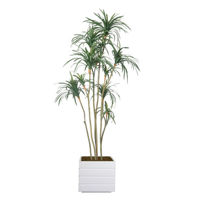 Dragon artificiel 80 po en pot