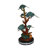 Hayward Five Sea Turtles Swimming Statue