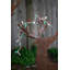 SET OF TWO PAINTED METAL DEER YARD ART