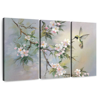 Colibri au printemps