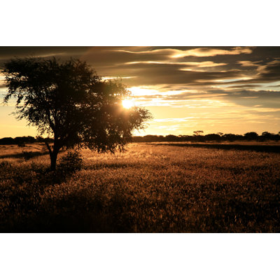 Sunset in Botswana by Wayne10810