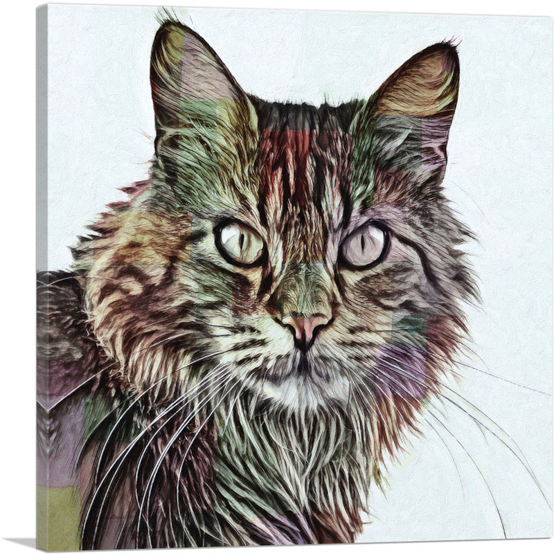 Reproduction d'art graphique sur toile Maine Coon, H 26 po x l 26 po x P 1,5 po