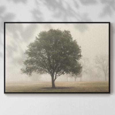 " Trees In The Fog I "