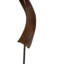 Polished Kudu Horn on Acrylic Display Base