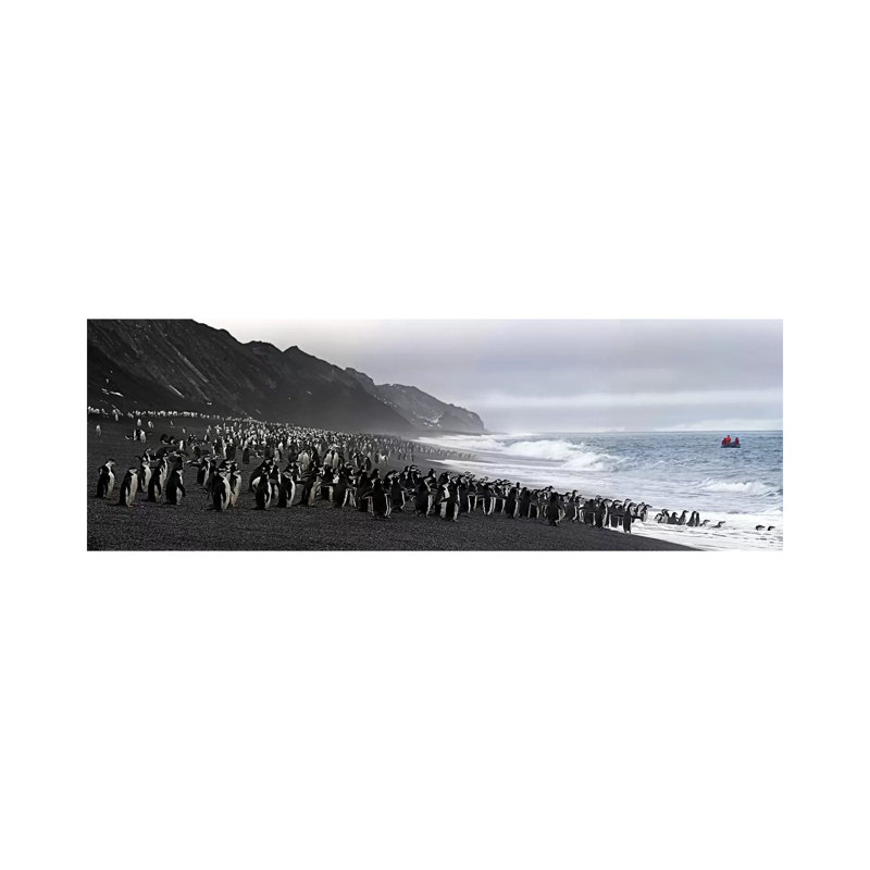 Chinstrap penguins marching to the sea, Bailey Head, Deception Island, Antarctica 1 Piece Panoramic Wall Art on Canvas
