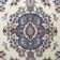 Modena Oriental Indoor Rug