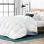 Winter Down Alternative Comforter-23798261