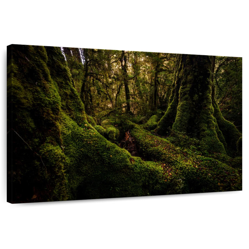 Harnek Milford Sound Rainforest, 32" H x 48" W
