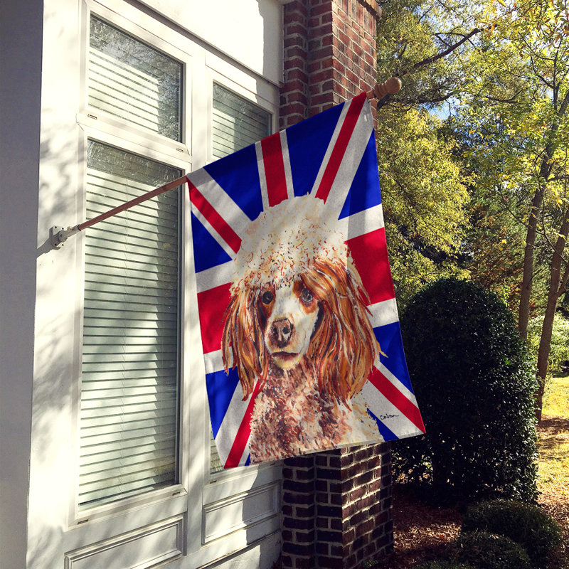 40 x 28 po en polyester britannique 2 faces english union jack drapeau maison, Caniche (brun)