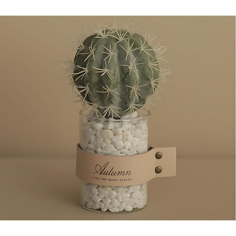 Cactus de 7,87 po