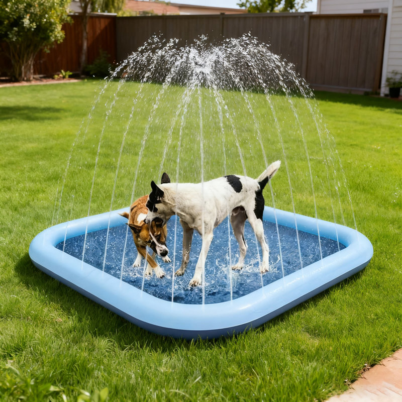 Piscine carrée pour enfant de 5 po H x 70 po x L 70 po, tapis d'arrosage portatif pour animal de compagnie, activité de divertissement dans la cour extérieure