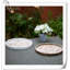 Tray Wood Tray