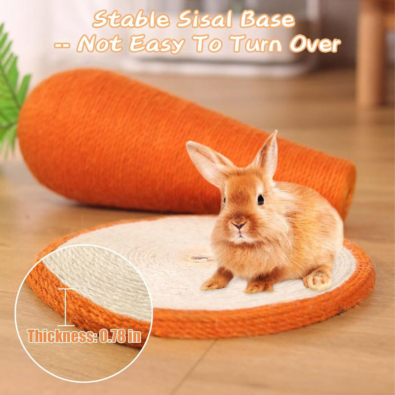 Poteau à griffes avec base robuste en sisal, H 11,42 po x l 10,24 po x L 10,24 po